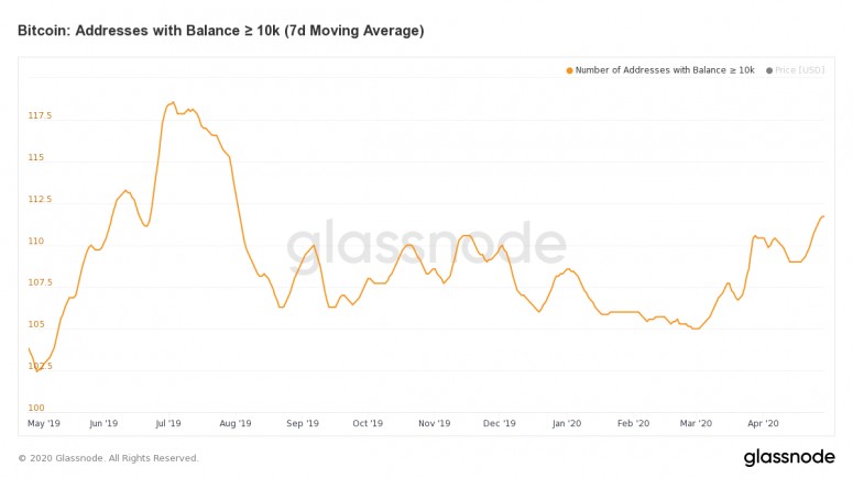 glassnode-studio_bitcoin-addresses-with-balance-%e2%89%a5-10-k-7-d-moving-average-1