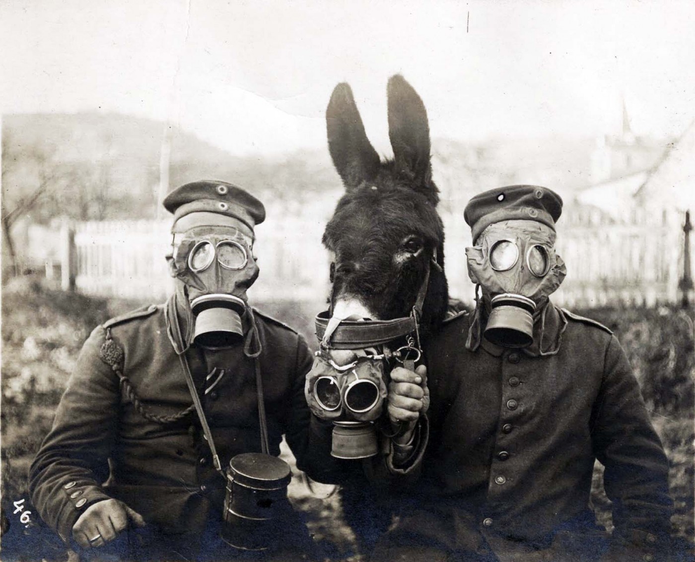 Two German soldiers and their mule wearing gas masks, 1916 - Rare Historical Photos